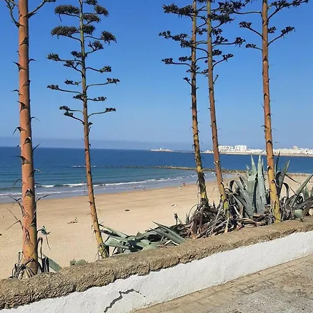 Charming In Near The 63 M² + Terrace Apartment Cadiz